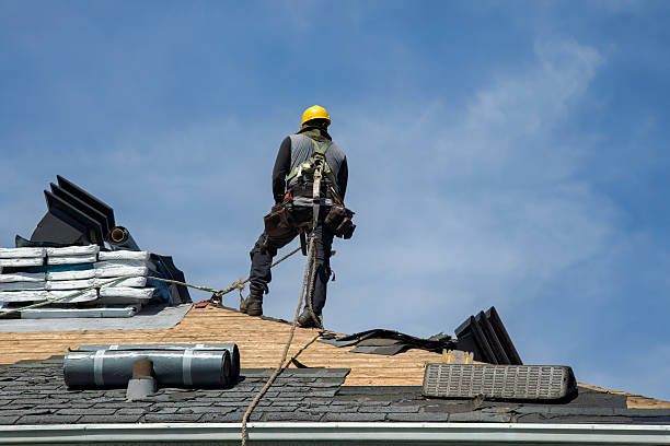 Professional Flat Roof Repair technician working in Larimore, ND